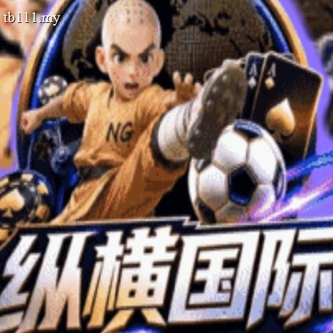 纵横国际